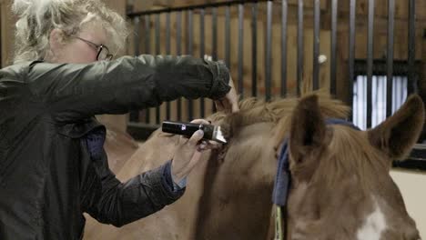 A-close-up-slow-motion-shot-of-a-Caucasian-female-carefully-shaving-the-hair-on-the-crest-of-a-horses-neck-with-electric-clippers-in-a-stable