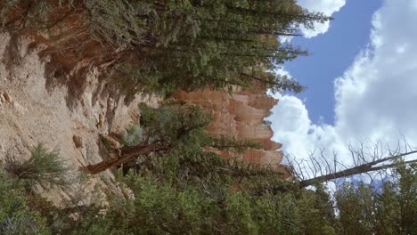 Hochkippbare-Vertikale-Landschaftsaufnahme-Aus-Einem-Tal-Voller-Bäume-Mit-Blick-Auf-Große-Weiße-Und-Orangefarbene-Klippen-In-Der-Wüste-Im-Süden-Utahs-Mit-Hoodoos-Und-Anderen-Formationen-Aufgrund-Von-Erosion-An-Einem-Warmen-Sommertag