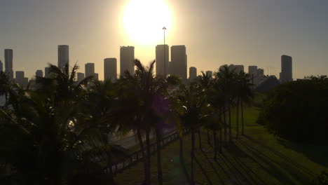 Aerial-rising-shot-from-behind-palm-trees-showing-downtown-Miami-during-sunset
