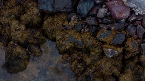 Mit-Flechten-Und-Algen-Bedeckte-Felsen-Am-Seeufer
