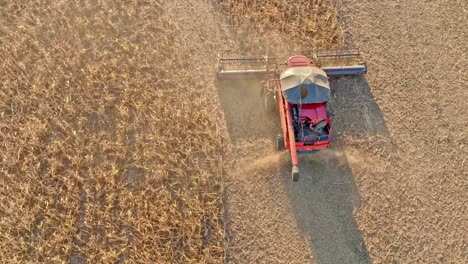 drone-shoot-of-harvesting-corn