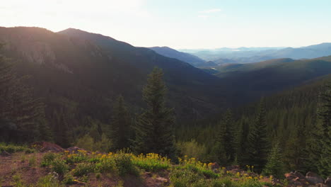 Cinematic-aerial-drone-morning-sunrise-wildflowers-Denver-Mount-Evans-14er-Chicago-lakes-front-range-foothills-Rocky-Mountains-Idaho-Springs-Evergreen-Squaw-pass-Echo-Mountain-lake-trees-slider-right