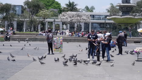 People-feed-pigeons-in-panning-shot-of-Constitution-Plaza-in-Guatemala
