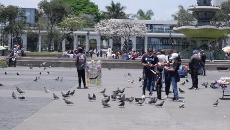 La-Gente-Alimenta-A-Las-Palomas-En-Una-Toma-Panorámica-De-La-Plaza-De-La-Constitución-En-Guatemala.