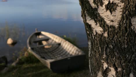 Birch-tree-and-old-wooden-boat-by-water-in-background,-summertime