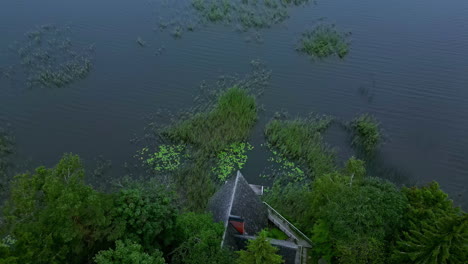 Aerial-View-Of-An-Architecture-By-The-Creek-With-Dense-Vegetation