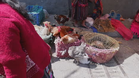 Chickens,-puppies-for-sale-at-Quetzaltenango-street-market,-Guatemala