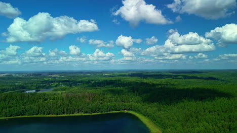 Drone's-Pedestal-Shot-Unveils-Vast-Lakes-and-Pine-Trees,-Offering-Expansive-Views-Under-Blue-Skies-and-Cumulus-Clouds-in-Latvia,-Europe
