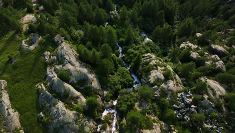 Water-stream-flowing-in-Valmalenco-valley-of-Valtellina-in-summer-season,-Northern-Italy