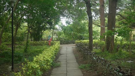 An-empty-path-in-a-park-filled-with-green-bushes-and-trees