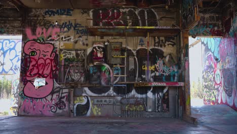 Eine-Mit-Graffiti-Bedeckte-Elektrische-Wand-Mit-Einem-Großen-Rosafarbenen-Kopfdesign-In-Der-Verlassenen-Fork-Chiniki-Tankstelle-In-Der-Nähe-Von-Canmore,-Alberta,-Kanada