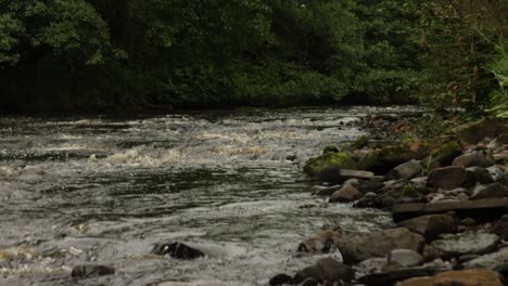 Slow-panning-shot-of-a-fast-flowing-section-of-a-river-in-Scotland