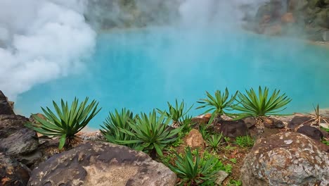 Palm-trees-in-front-of-a-steaming-vibrant-turqioise-blue-volcanic-geothermal-lake