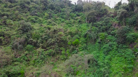 La-Cascada-Materuni-Es-Una-De-Las-Cascadas-Del-Río-Mware-En-Tanzania.
