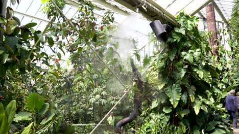 Mist-Being-Sprayed-Inside-Princess-of-Wales-Conservatory-At-Kew-Gardens-To-Keep-Stable-Humidity-Levels