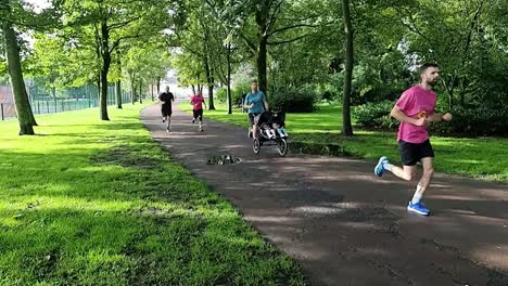 Padre-Adulto-Joven-En-Cámara-Lenta-Empujando-A-Bebés-Corriendo-En-Un-Maratón-De-Caridad-En-Un-Parque-Público-Sombreado