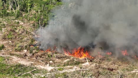 Amazon-wildfire-burning-trees-for-deforestation,-huge-flames-burning