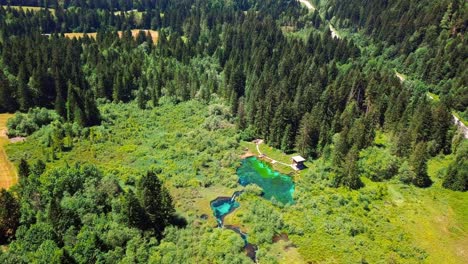 Aerial-4K-drone-footage-of-Zelenci-Springs
