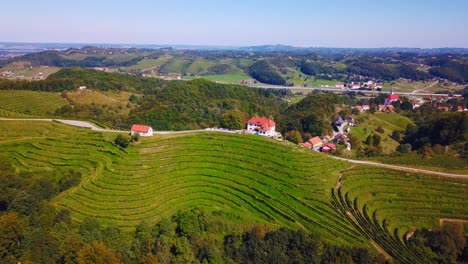 Stunning-aerial-4K-drone-footage-of-Haloze,-Slovenia
