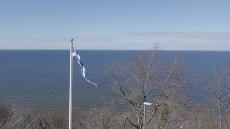 Flag-of-Estonia-waving-in-front-of-Baltic-sea