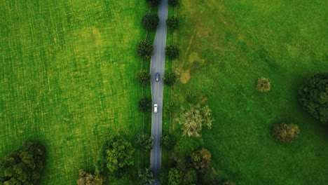 Overhead-drone-footage-of-two-cars-driving-down-a-lane-in-a-wooded-country-estate