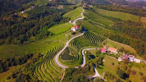 Stunning-aerial-4K-drone-footage-of-Haloze,-Slovenia