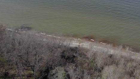 Drone-flying-slowly-towards-greenish-Baltic-sea-in-Estonia-during-spring-time-with-no-leaves-on-trees