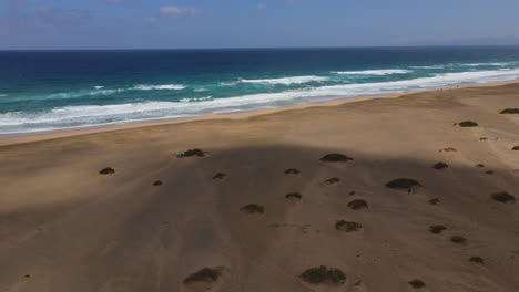 Flug-über-Den-Strand-Von-Cofete,-Fuerteventura:-Luftaufnahme-Im-Kreis-Zum-Ufer-Des-Tollen-Strandes-Und-Eine-Intensive-Blaue-Farbe-Des-Ozeans