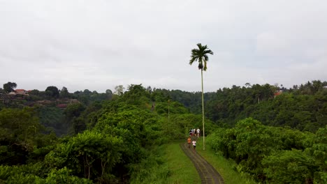 Corredores-Locales-Recorriendo-El-Pintoresco-Sendero-Selvático-De-Campuhan-Ridge-En-Bali---Indonesia-Y-Turistas-Caminando-En-El-Fondo-Tropical