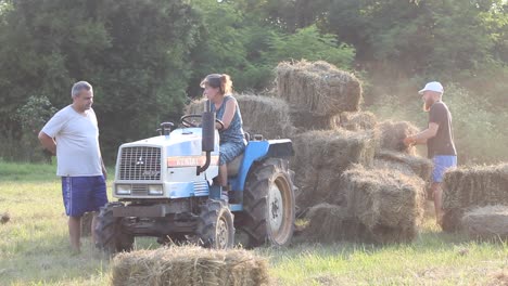 Granjero-Y-Amigos-Cargan-Fardos-De-Heno-En-El-Tractor-Durante-La-Temporada-De-Cosecha