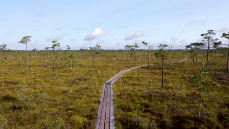 Lonely-wooden-footbridge-over-impressive-high-moor-landscape-in-Soomaa-National-Park-in-Estonia