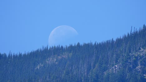 Full-Moon-In-Blue-Sky-Over-Forested-Mountains