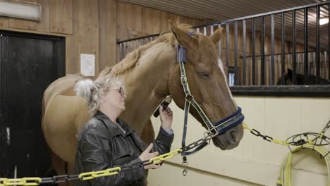 A-Caucasian-female-groom-carefully-shaving-the-throat-of-a-beautiful-horse-in-a-stable-with-electric-clippers