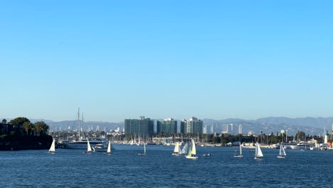Boats-sailing-in-Marina-Del-Rey-in-Los-Angeles-on-beautiful-summer-day