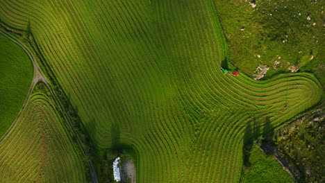 Pattern-in-green-field-after-silage-crop-harvest-with-tractor,-aerial-top-down