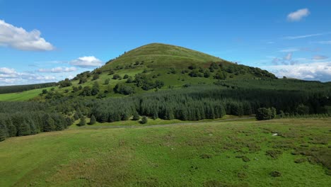 Flight-towards-isolated-green-hill-Great-Mell-Fell-over-pine-forest-on-bright-summer-day