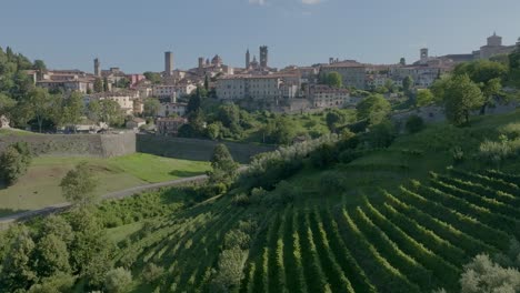 Italien-Lombardei-Bergamo-Ein-Typisches-Altes-Dorf-Auf-Einem-Hügel,-Umgeben-Von-Grün--Und-Weinpflanzen