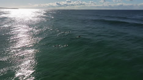 Drohnenschwenkaufnahme-Einer-Surfergruppe,-Die-Am-Dolphin-Point-Zu-Den-Wellen-Paddelt