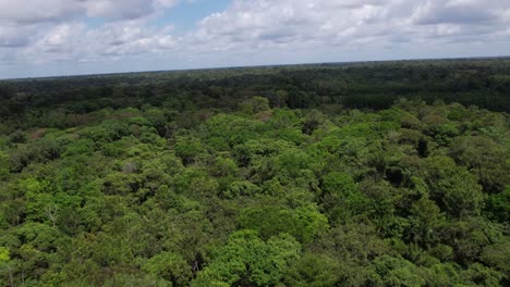 Vista-Aérea-De-Drones-De-Un-Bosque-Tropical-En-Brasil