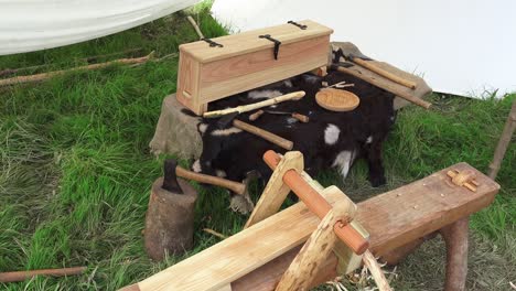 Wikinger-Nachstellung-Auf-Ausstellungswerkzeugen,-Die-Von-Alten-Handwerkern-Für-Die-Holzbearbeitung-In-Woods-Town-Waterford,-Irland,-Verwendet-Wurden