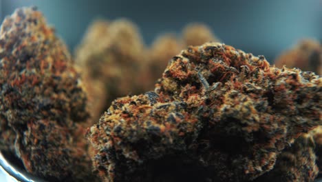 A-close-up-macro-cinematic-detailed-shot-of-a-cannabis-plant,-orange-hybrid-strains,-Indica-and-sativa,-dark-purple-marijuana-flower,-on-a-rotating-stand,-slow-motion,-4K,-professional-studio-lighting