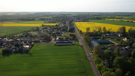 Aerial-view-of-driving-cars-on-scenic-road-beside-village-surrounded-by-green-and-yellow-plantation-fields-in-summer