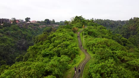 Aerial-static-shot-of-tourists-hiking-the-campuhan-ridge-walk