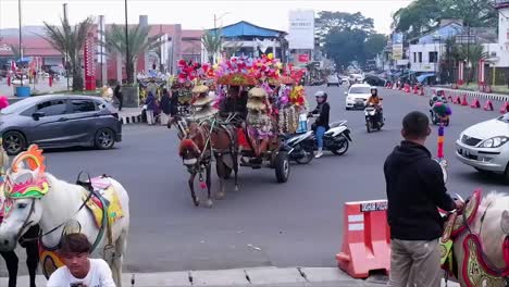 Horse-drawn-carriage-:-traditional-transportation