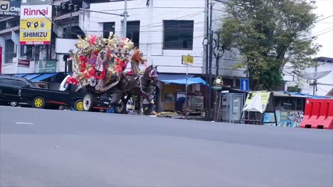 Andong-Es-Un-Transporte-Típico-En-La-Ciudad.