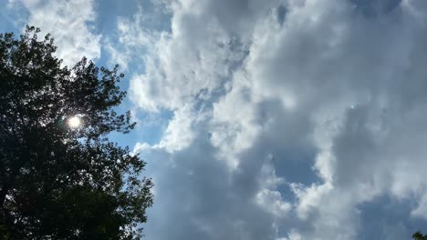 Wolken-Ziehen-Am-Himmel,-Die-Sonne-Scheint-Durch-Einen-Baum