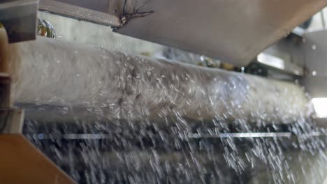 Wasserverschwendung-In-Einer-Ananaswaschmaschine-In-Einer-Lebensmittelindustrie