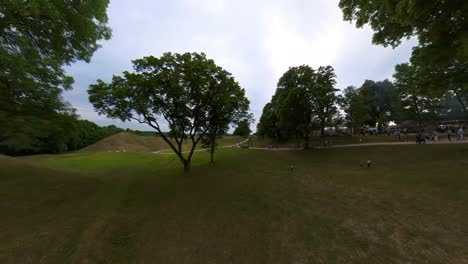 Old-Trees-On-Kernave-Mounds.-Slow-Motion-Footage