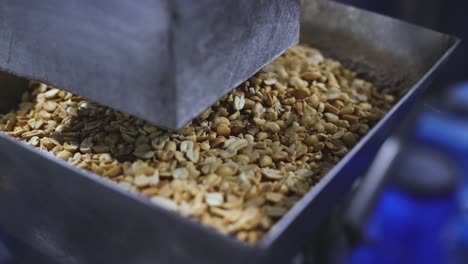 SLOW-MOTION-SCENE-Fry-raw-peanuts-of-the-best-quality-are-coming-down-from-the-machine-in-a-peanut-butter-processing-plant-to-be-made-into-peanut-butter