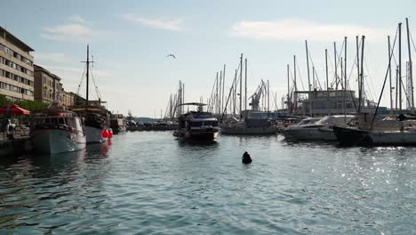 Passenger-transport-boat-sailing-past-vessels-docked-in-Pula-Marina,-Croatia